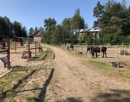 Поместье за 670 000 евро в Кламила, Финляндия