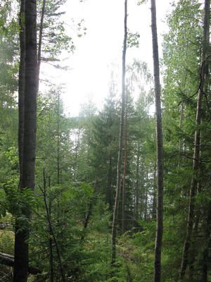 Земля в Лахти, Финляндия, 3700 м2 - фото 7