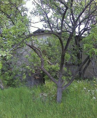 Земля в Бургасе, Болгария, 1000 м2 - фото 1