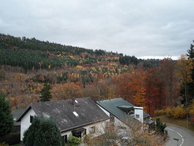 Квартира в Баден-Вюртемберге, Германия, 65 м2 - фото 5