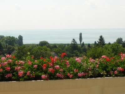 Дом Balaton-Hévíz, Венгрия, 400 м2 - фото 2