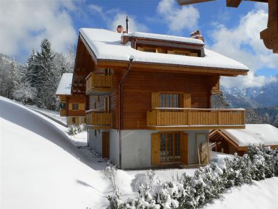 Квартира Villars, Швейцария, 110 м2 - фото 6