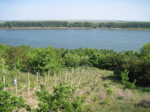 Земля во Враце, Болгария, 1000 м2 - фото 1