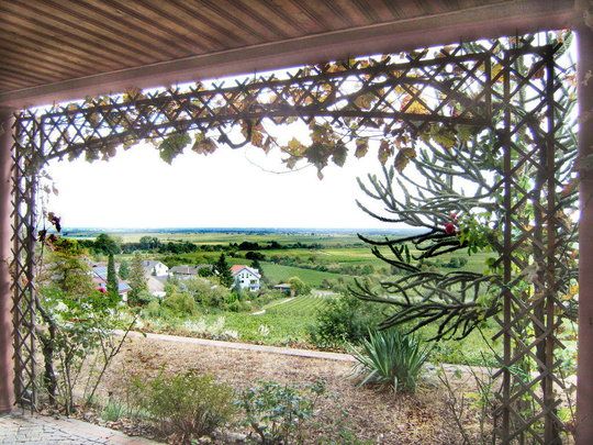 Вилла в земле Рейнланд-Пфальц, Германия, 450 м2 - фото 1