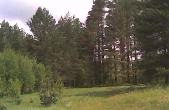 Земля в Рижском крае, Латвия, 21 Га - фото 1