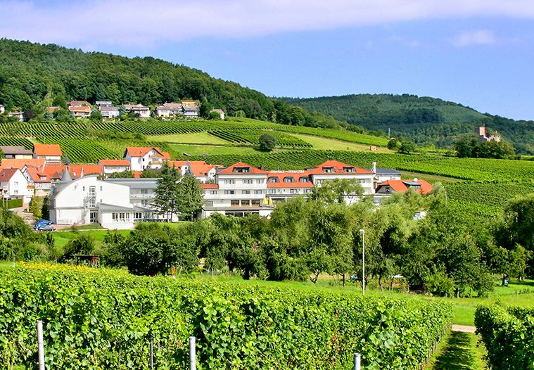 Отель, гостиница в земле Рейнланд-Пфальц, Германия, 2.939 м2 - фото 1