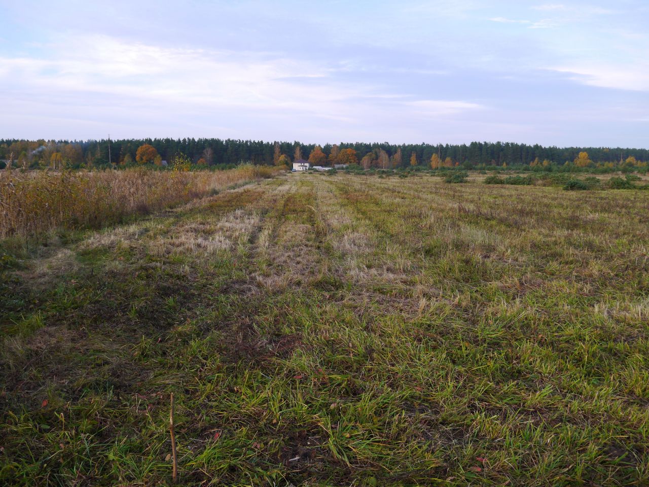 Земля в Рижском крае, Латвия, 3 Га - фото 4