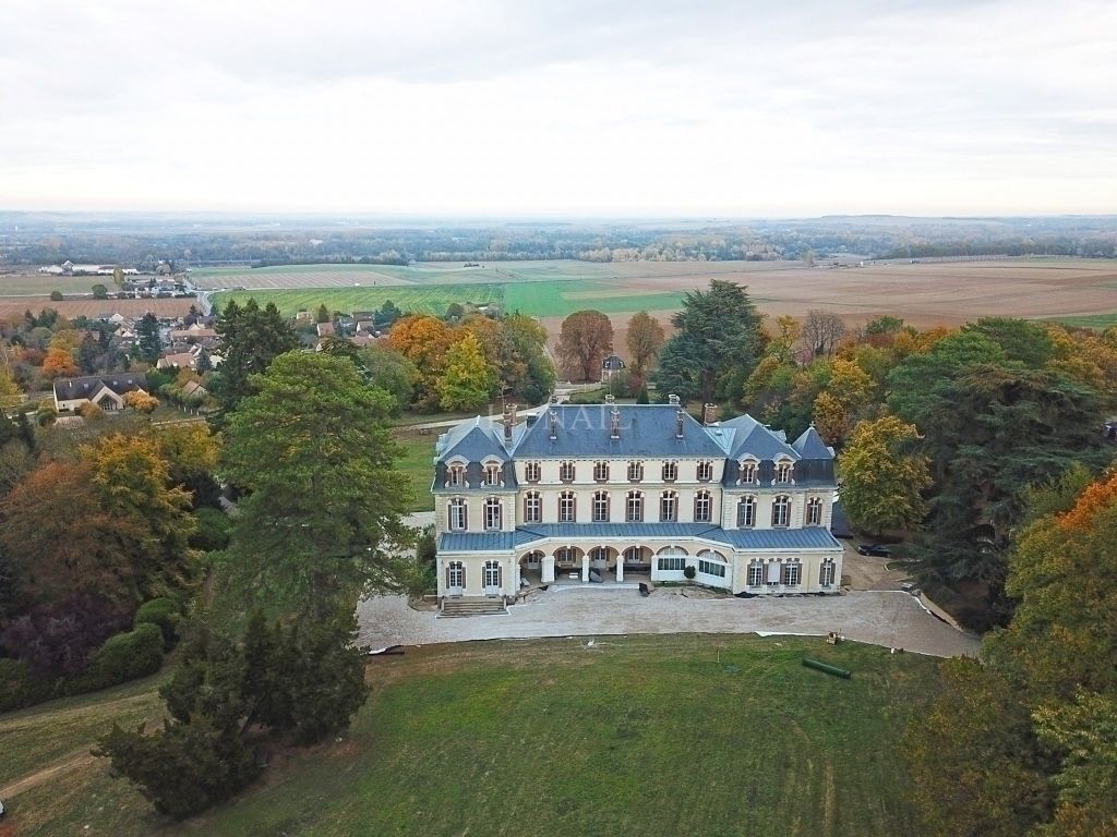 Замок в землях Луары, Франция, 1650 м2 - фото 1