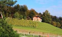 Смотреть видео Покупка фермы и земли в Словении