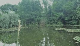 Земля за 1 600 000 евро в Венгрии