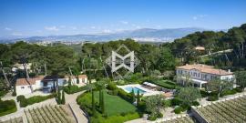 Продажа - Поместье Мужен. Фото