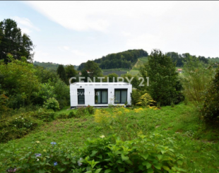 Дом за 100 000 евро в Мариборе, Словения