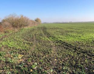 Land for 6 000 000 euro in Hungary