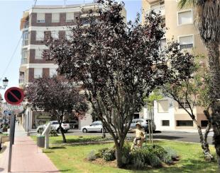 Апартаменты за 500 евро за месяц в Гуардамар-дель-Сегура, Испания