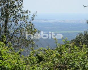 Land for 58 000 euro in Portugal