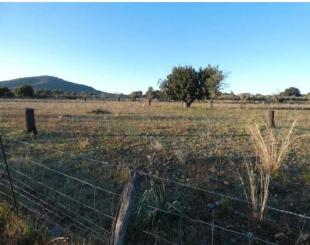 Land for 235 000 euro in Spain