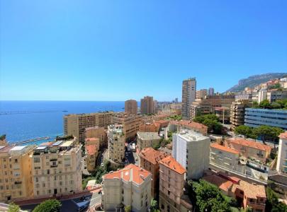Apartment for 6 750 000 euro in Monaco, Monaco