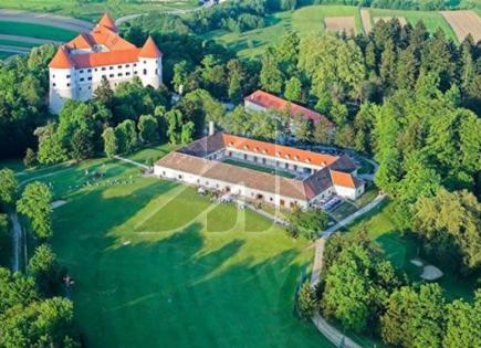 Отель, гостиница за 10 000 000 евро в Брежице, Словения