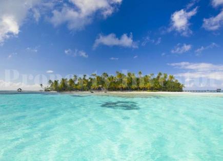 Остров за 2 668 814 евро на Рангироа, Французская Полинезия
