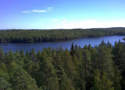 Land for 130 000 euro in Leppavirta, Finland