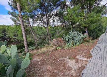 Land for 350 000 euro in Portals Nous, Spain