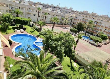 Apartment for 49 900 euro in Torrevieja, Spain