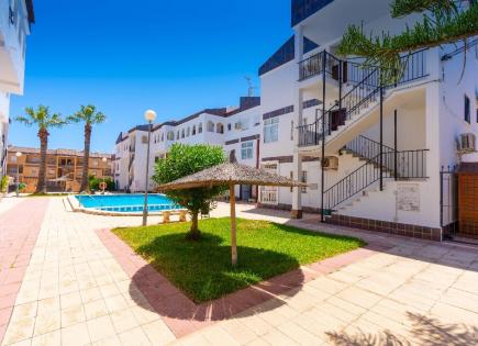 Апартаменты за 75 000 евро в Пунта Приме, Испания