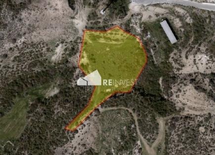 Land for 81 500 euro in Peyia, Cyprus