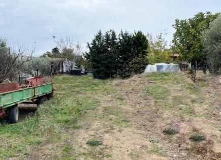 Land for 50 000 euro in Chalkidiki, Greece