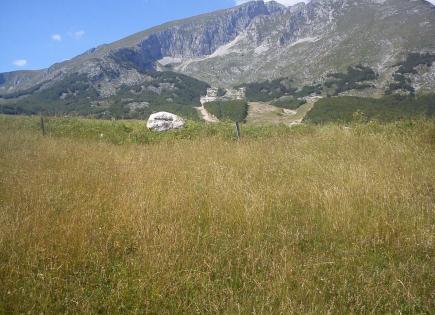 Земля за 240 000 евро в Жабляке, Черногория