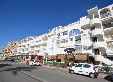 Shop for 168 381 euro in Torrevieja, Spain