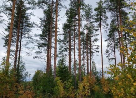 Land for 27 000 euro in Kesalahti, Finland
