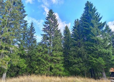 Land for 73 000 euro in Zabljak, Montenegro