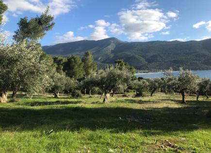 Land for 265 000 euro in Boiothia, Greece