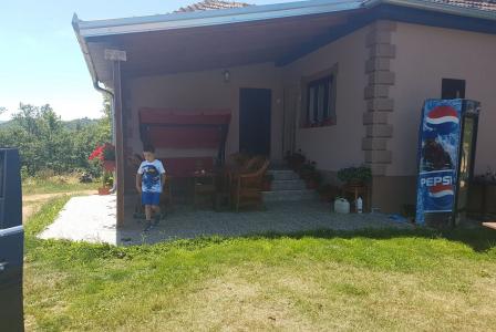 Купить дом в сербии недорого в деревне скульптуры из веток