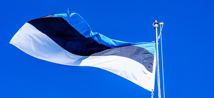 Эстония приостановила выдачу учебных виз и ВНЖ россиянам. И ограничила возможности для трудоустройства