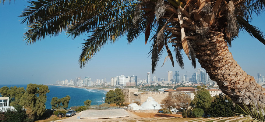 В 2022 году цены на жильё в Израиле подскочили почти на 20%
