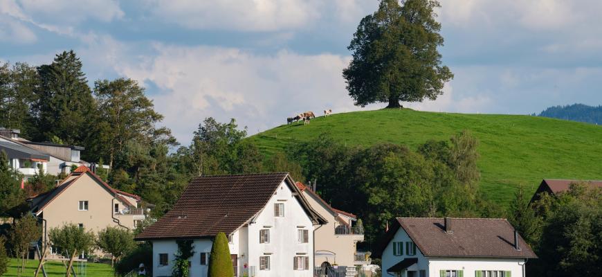 Названы кантоны Швейцарии с самым большим предложением жилья 