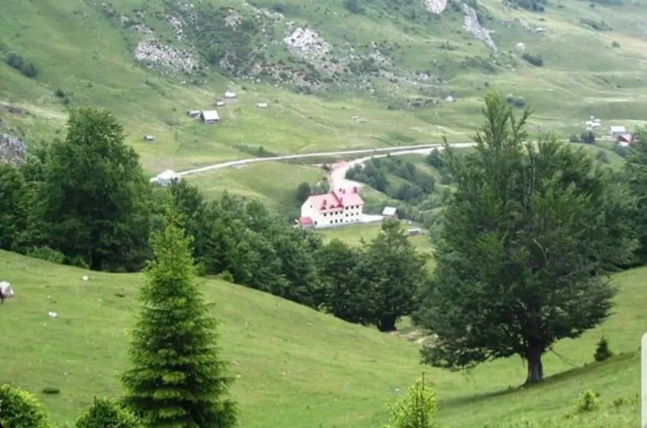 горнолыжный курорт в черногории колашин