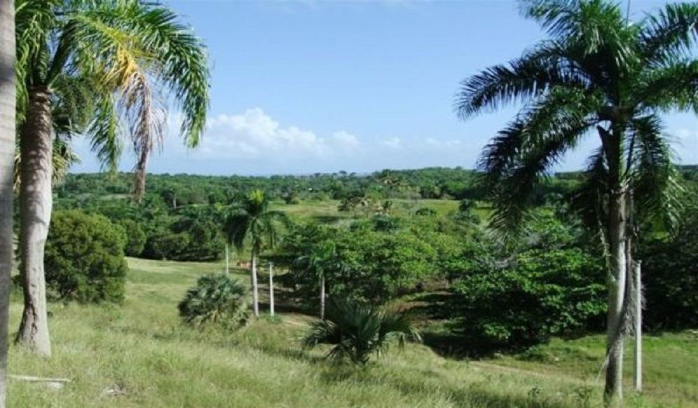 Земля в Сосуа, Доминиканская Республика, 25 364 м2 - фото 1
