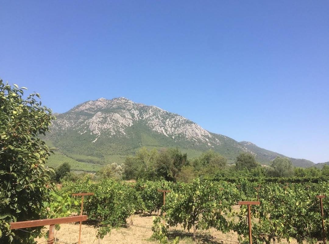 Land in Fethiye, Turkey, 905 sq.m - picture 1