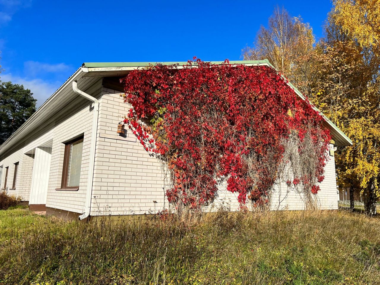 Квартира в Варкаусе, Финляндия, 35 м2 - фото 1