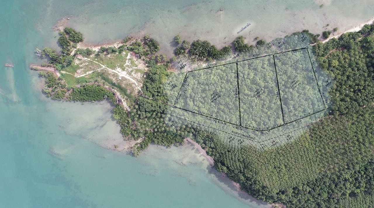 Land in Phang Nga, Thailand, 31 816 sq.m - picture 1