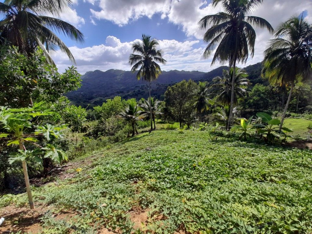 Земля в Гаспар Эрнандес, Доминиканская Республика, 17 000 м2 - фото 1