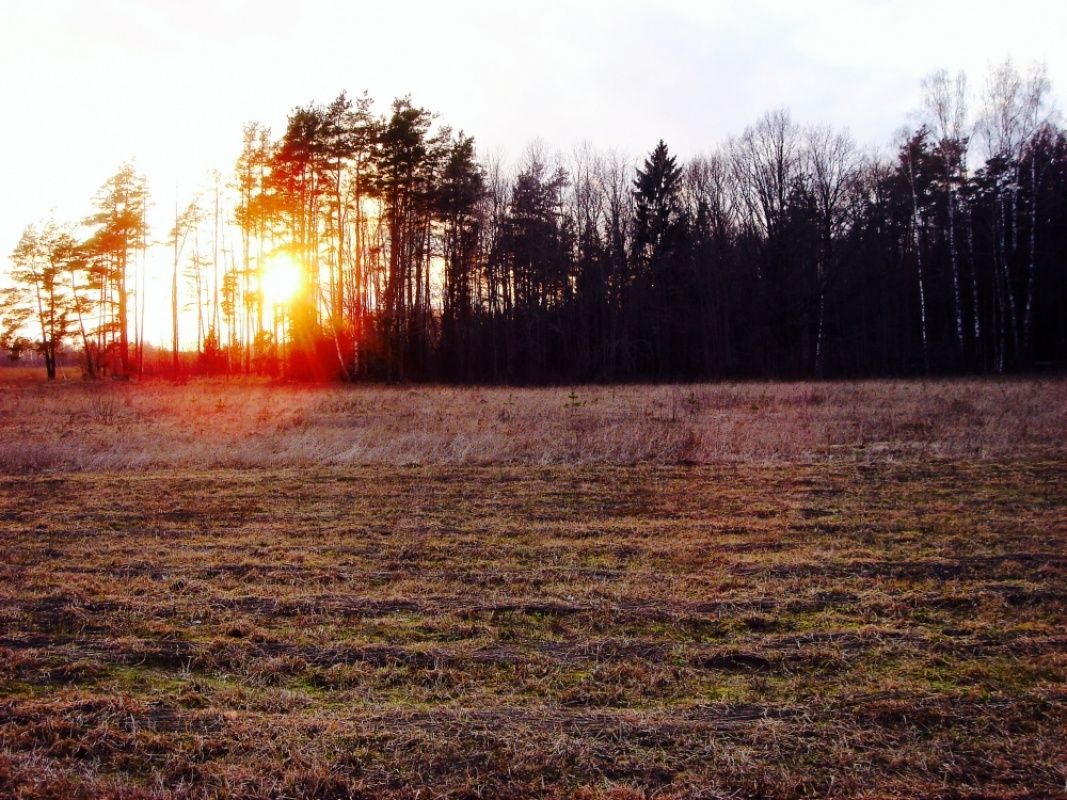 Земля в Рижском крае, Латвия, 20 000 сот. - фото 1
