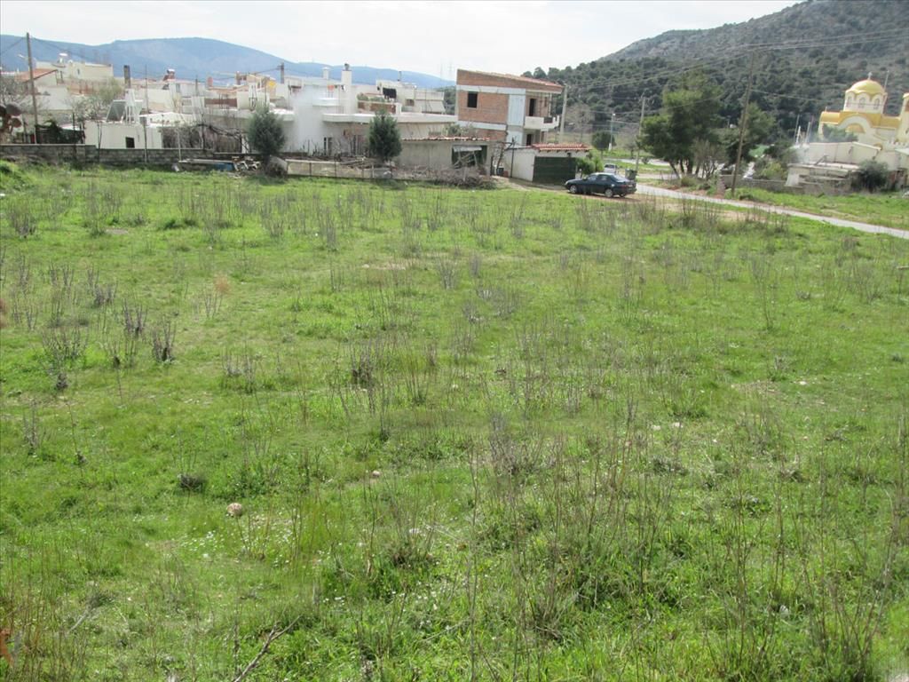 Земля в Аттике, Греция, 2 600 м2 - фото 1
